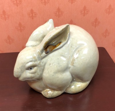 China Rabbit