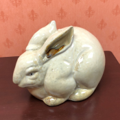 China Rabbit